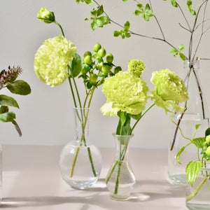 緑の花がある暮らし。-7月お届けのお花の楽しみ方・小分け、一つの花瓶に飾る-