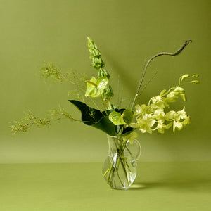 緑の花がある暮らし。-8月お届けのお花のおすすめの飾り方-