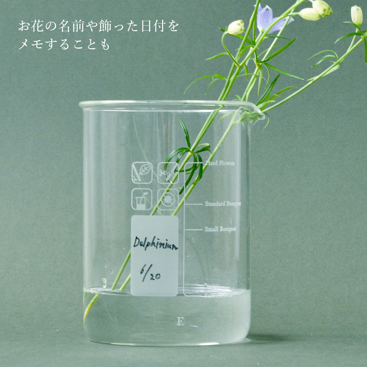 F. [éf] Beaker Vase